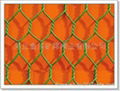 hexagonal wire netting 1