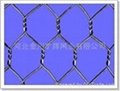 hexagonal wire netting 5