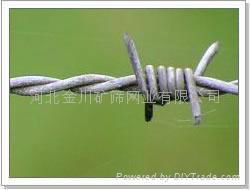 Barbed wire 3