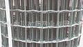 Weld Wire Mesh 2