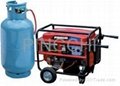 Portable natural gas generator  and LPG  generator 1
