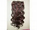 Clip-in Hair extensions 1