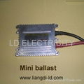 HID Ballast 1