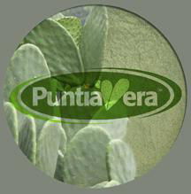 PuntiaVera® Organic Nopal Powder 2