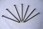 Common Iron Nail