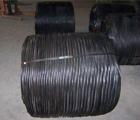 Soft Black Annealed Wire (factory) 2