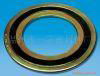 spiral  wound   gasket