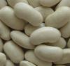 White kidney beans (long shape)