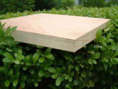 birch plywood