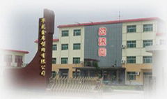 hualongxin dutch wire mesh co.,ltd anping of china