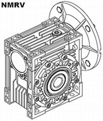 Worm-gear speed reducer