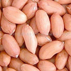 peanut kernels