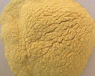 dehydrated onion powder