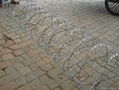 concertina wire 4