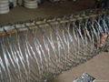 concertina wire 5