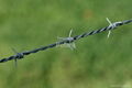 barbed wire 5