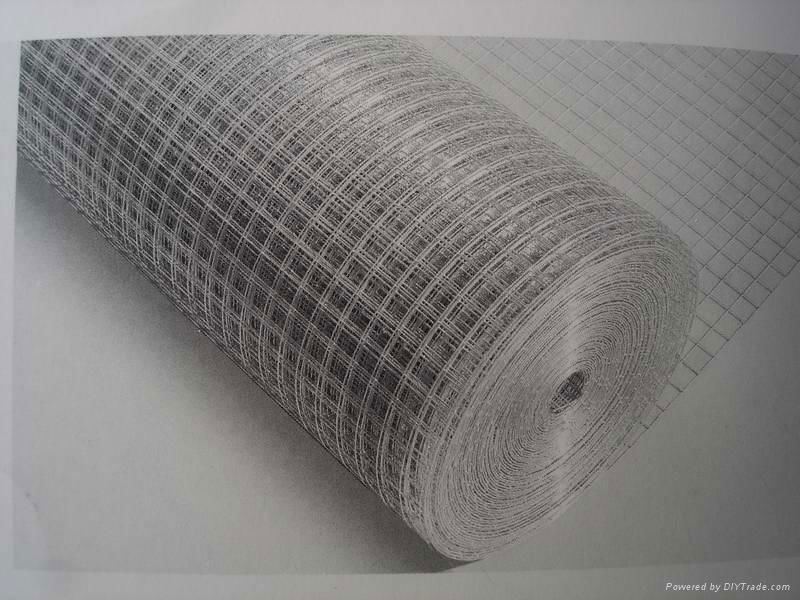 pvc welded wire mesh 2