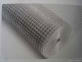 pvc welded wire mesh 2