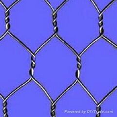 chicken wire mesh