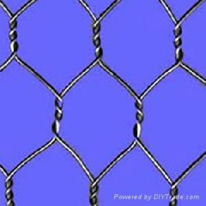 hexagonal wire netting 2