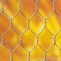 hexagonal wire netting 5