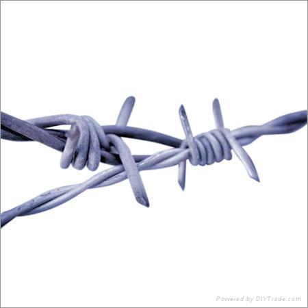 barbed wire 2