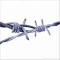 barbed wire 2