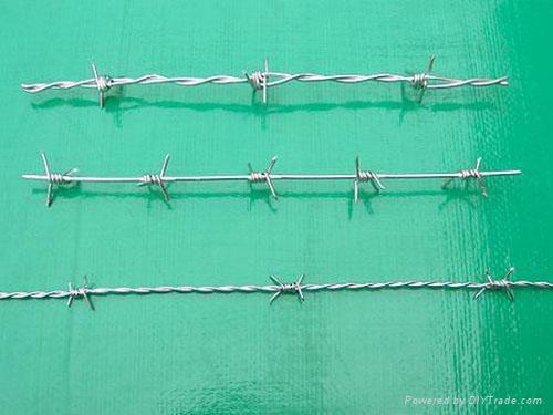 barbed wire 3