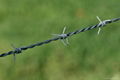 barbed wire 5