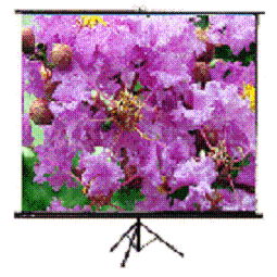 Tripod Screen  2