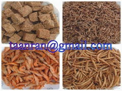 Taian Anran Insect Industrial Co.Ltd.