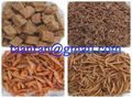 dried mealworm