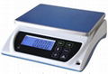 Electronic Weighing Scale 1