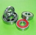 stainless steel bearing 1