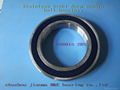 stainless bearings