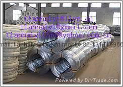 electro galvanized iron  wire 3