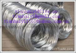 electro galvanized iron  wire 5