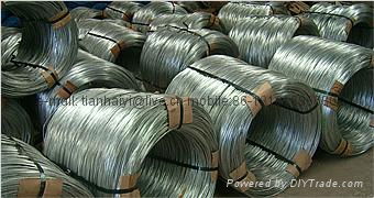 BWG22 8kg galvanized iron wire  4