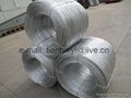 heavy hot-dipped galvanized steel wire 3
