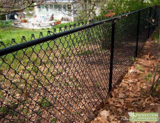 Chain Link Fence  4