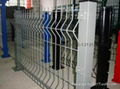 Wire Mesh Fence