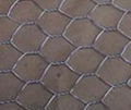 hexagonal wire mesh 1