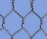 hexagonal wire mesh 2