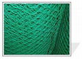 hexagonal wire mesh 3