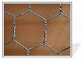 hexagonal wire mesh 4