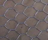 hexagonal wire mesh