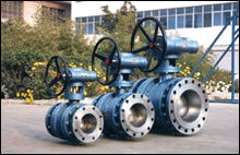 Fixed ball valve