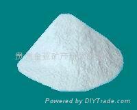 Plasticized powder