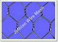 Hexagonal Wire Netting