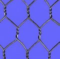 hexagonal wire netting